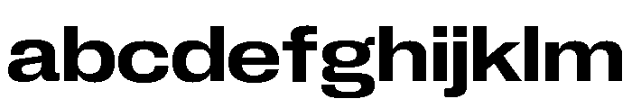 Neue Corp Variable Wide Semibold FONT