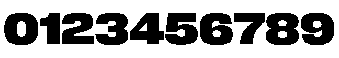 Neue Corp Variable Wide Ultrabold Font OTHER CHARS