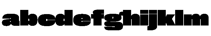 Neue Corp Wide Black FONT