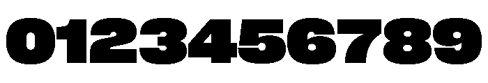 Neue Corp Wide Heavy Font OTHER CHARS