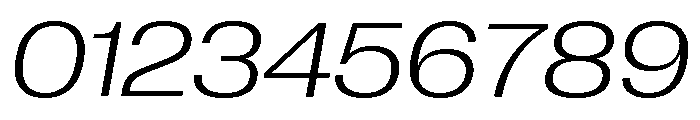 Neue Corp Wide Light Italic Font OTHER CHARS