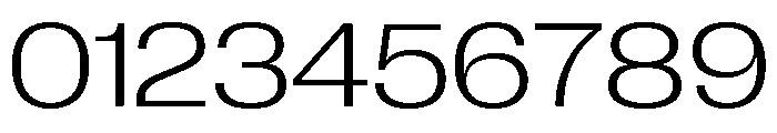 Neue Corp Wide Light Font OTHER CHARS