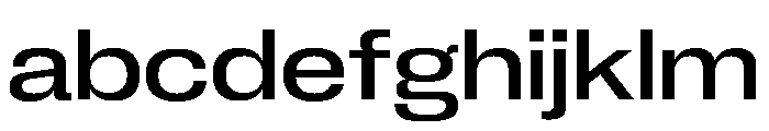Neue Corp Wide Medium 2 FONT