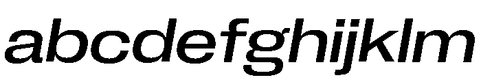 Neue Corp Wide Medium Italic FONT
