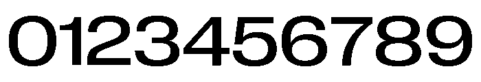 Neue Corp Wide Medium Font OTHER CHARS