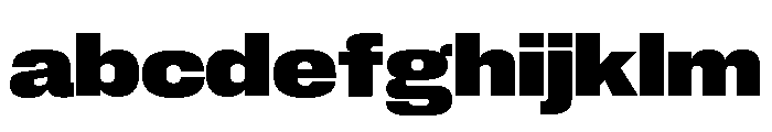 Neue Corp Wide Ultrabold FONT