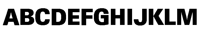 Neue Gstaad Compact Variable Compact Black Font UPPERCASE