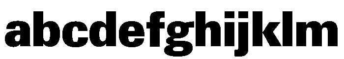 Neue Gstaad Compact Variable Compact Black FONT