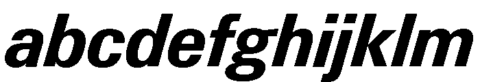 Neue Gstaad Compact Variable Compact Bold Italic FONT