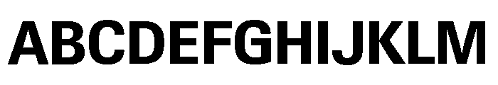 Neue Gstaad Compact Variable Compact Bold Font UPPERCASE