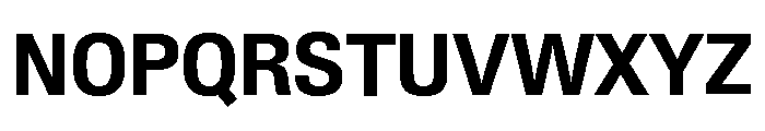 Neue Gstaad Compact Variable Compact Bold Font UPPERCASE