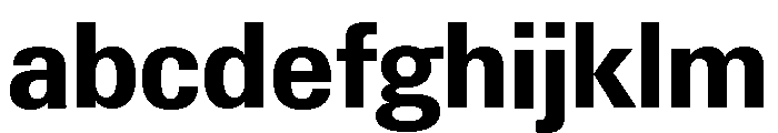 Neue Gstaad Compact Variable Compact Bold FONT