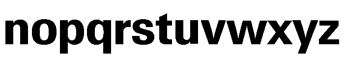 Neue Gstaad Compact Variable Compact Bold Font LOWERCASE