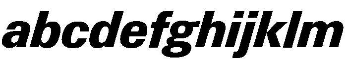 Neue Gstaad Compact Variable Compact Extrabold Italic FONT