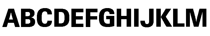 Neue Gstaad Compact Variable Compact Extrabold Font UPPERCASE