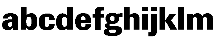 Neue Gstaad Compact Variable Compact Extrabold FONT