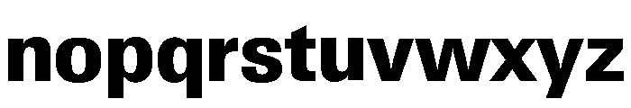 Neue Gstaad Compact Variable Compact Extrabold Font LOWERCASE