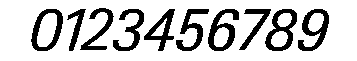 Neue Gstaad Compact Variable Compact Italic Font OTHER CHARS
