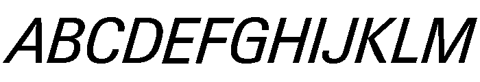 Neue Gstaad Compact Variable Compact Italic Font UPPERCASE