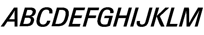 Neue Gstaad Compact Variable Compact Medium Italic Font UPPERCASE