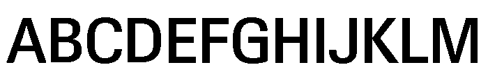 Neue Gstaad Compact Variable Compact Medium Font UPPERCASE