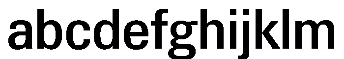 Neue Gstaad Compact Variable Compact Medium FONT