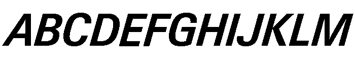 Neue Gstaad Compact Variable Compact Semibold Italic Font UPPERCASE