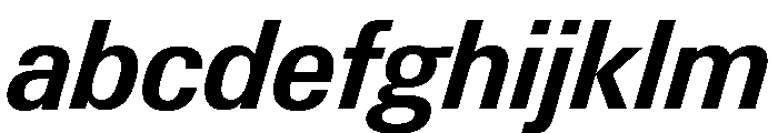 Neue Gstaad Compact Variable Compact Semibold Italic FONT