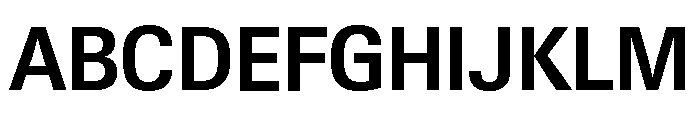 Neue Gstaad Compact Variable Compact Semibold Font UPPERCASE