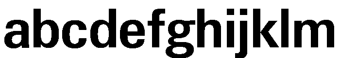 Neue Gstaad Compact Variable Compact Semibold FONT