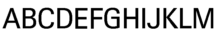 Neue Gstaad Compact Variable Compact Font UPPERCASE