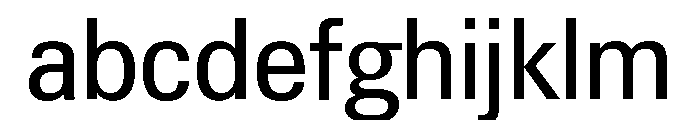 Neue Gstaad Compact Variable Compact FONT