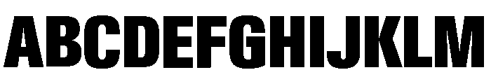 Neue Gstaad Condensed Variable Condensed Black Font UPPERCASE