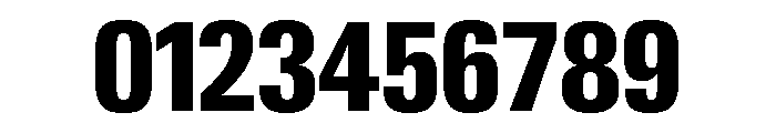 Neue Gstaad Condensed Variable Condensed Extrabold Font OTHER CHARS