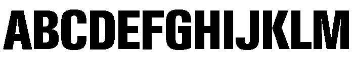 Neue Gstaad Condensed Variable Condensed Extrabold Font UPPERCASE