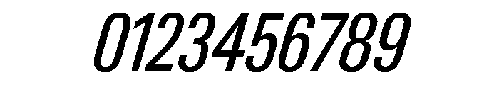 Neue Gstaad Condensed Variable Condensed Italic Font OTHER CHARS