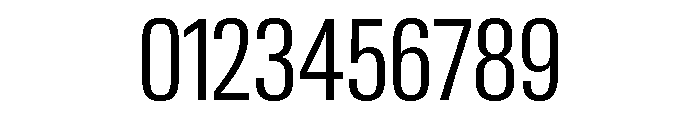Neue Gstaad Condensed Variable Condensed Light Font OTHER CHARS