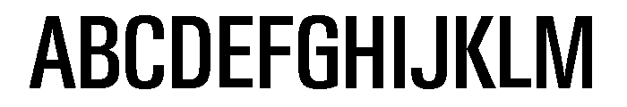 Neue Gstaad Condensed Variable Condensed Medium Font UPPERCASE