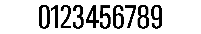 Neue Gstaad Condensed Variable Condensed Font OTHER CHARS
