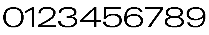 Neue Gstaad Expanded Variable Expanded 2 Font OTHER CHARS