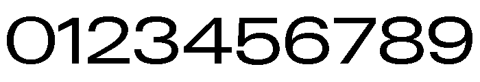 Neue Gstaad Expanded Variable Expanded 3 Font OTHER CHARS