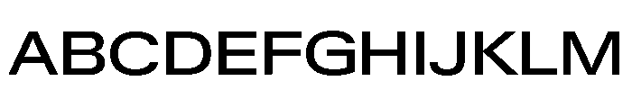 Neue Gstaad Expanded Variable Expanded 4 Font UPPERCASE