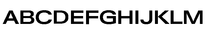 Neue Gstaad Expanded Variable Expanded 5 Font UPPERCASE