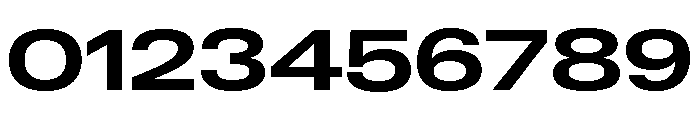 Neue Gstaad Expanded Variable Expanded 6 Font OTHER CHARS