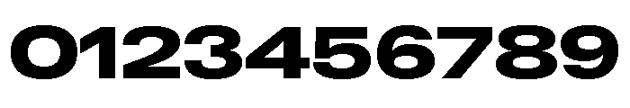 Neue Gstaad Expanded Variable Expanded 8 Font OTHER CHARS