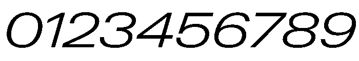 Neue Gstaad Expanded Variable Regular 2 Font OTHER CHARS
