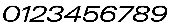 Neue Gstaad Expanded Variable Regular 3 Font OTHER CHARS