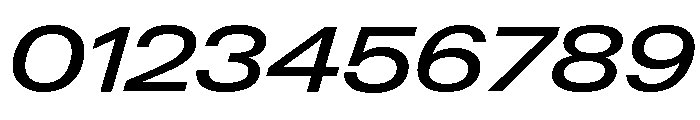 Neue Gstaad Expanded Variable Regular 4 Font OTHER CHARS