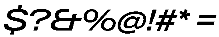 Neue Gstaad Expanded Variable Regular 4 Font OTHER CHARS