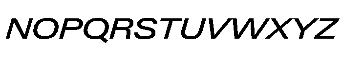 Neue Gstaad Expanded Variable Regular 4 Font UPPERCASE